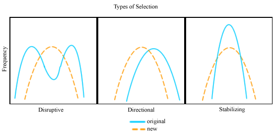 Is Artificial Selection Slower Than Natural Selection Is Artificial Selection Slower Than Natural Selection